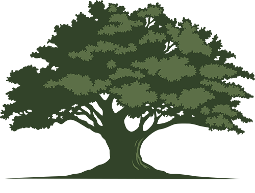 Grön ek med test om hälsosivt under